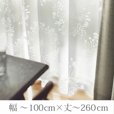 フロリレース