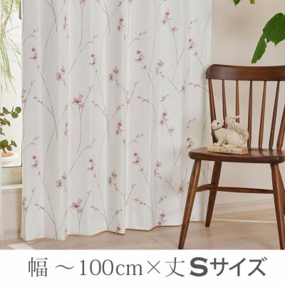 リディ