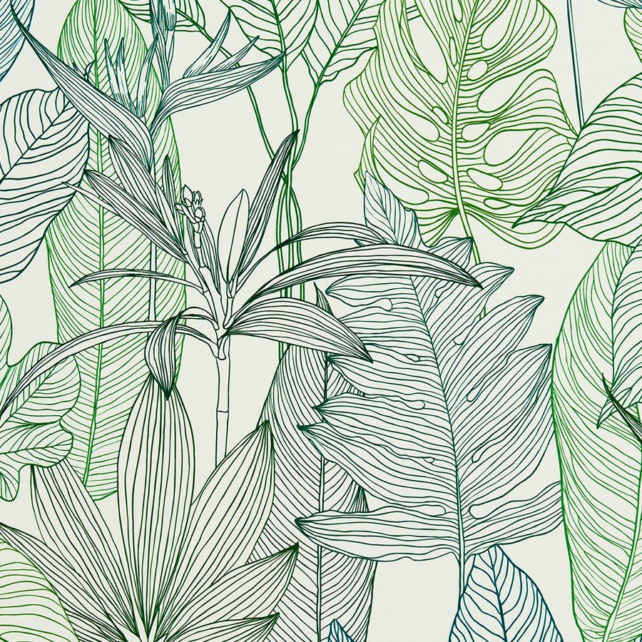 カラーバリエーション