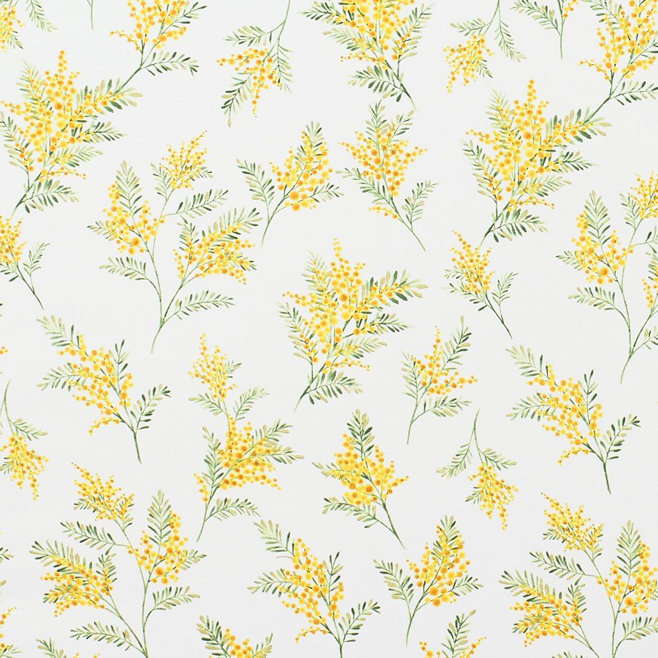 カラーバリエーション